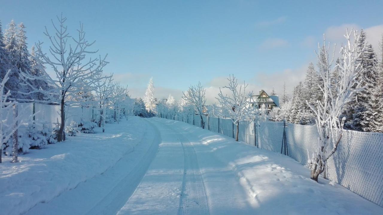 Apartament Nad Stawem Zakopane Exteriör bild