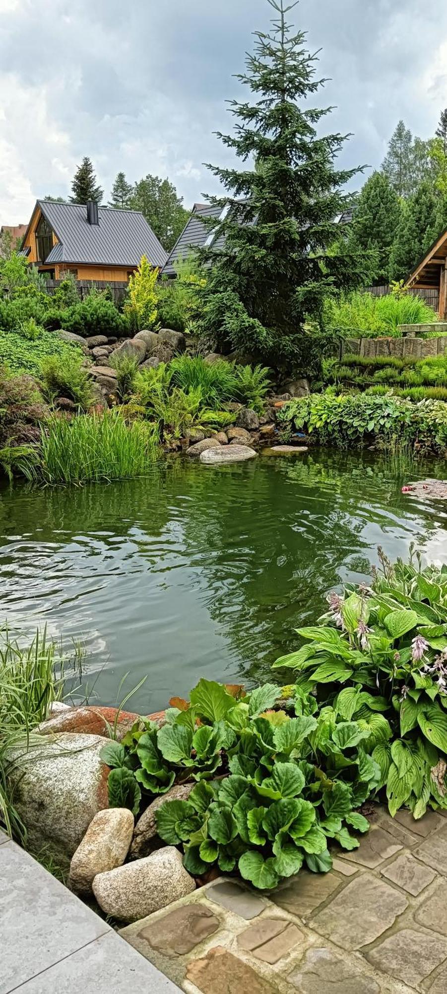 Apartament Nad Stawem Zakopane Exteriör bild
