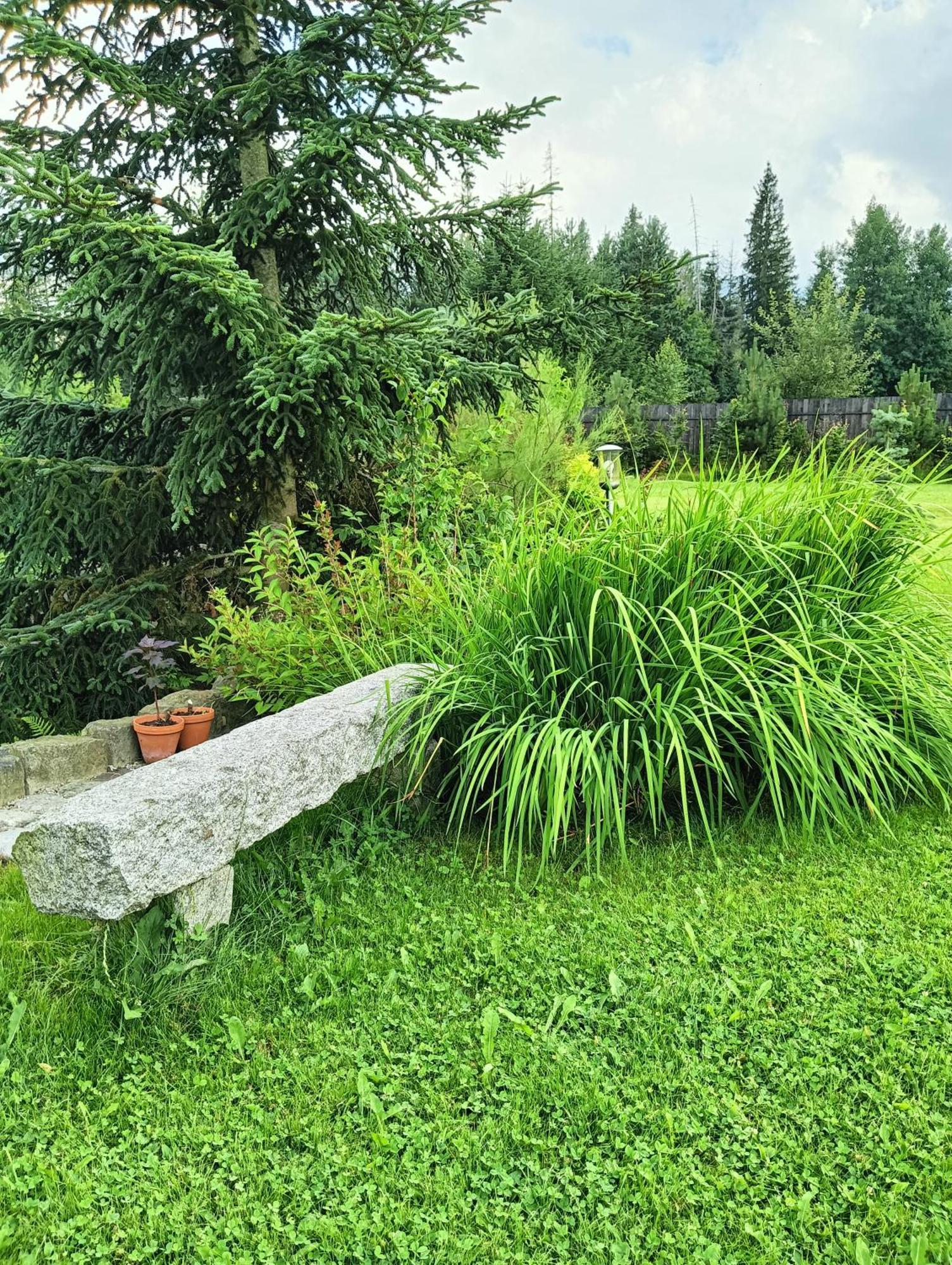 Apartament Nad Stawem Zakopane Exteriör bild